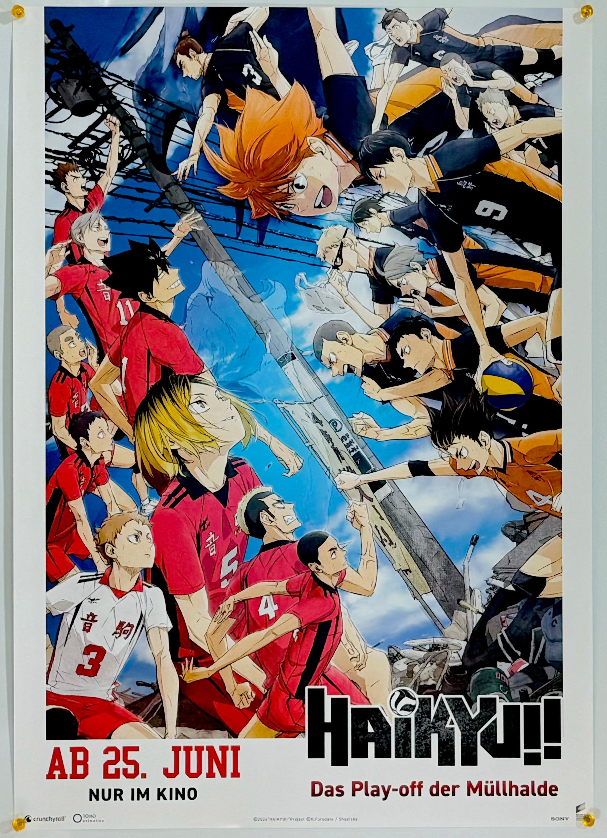 劇場版ハイキュー!! ゴミ捨て場の決戦』 国内アニメ ドイツ - 海外版