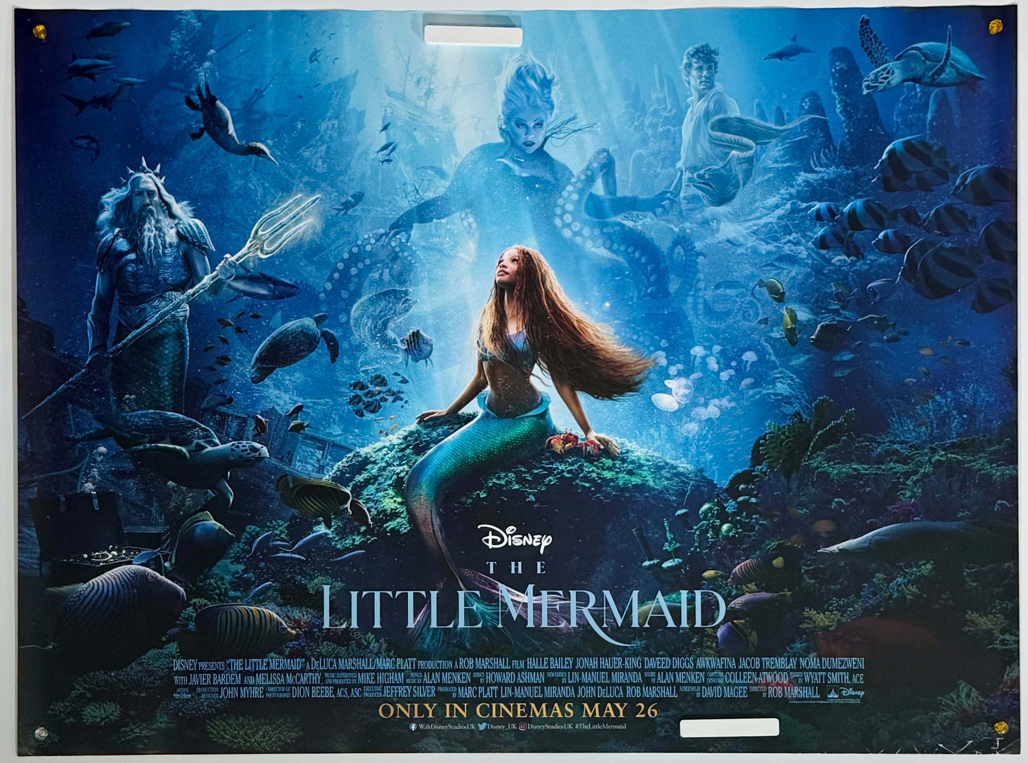 リトル・マーメイド』 洋画 イギリス - 海外版映画ポスター専門店