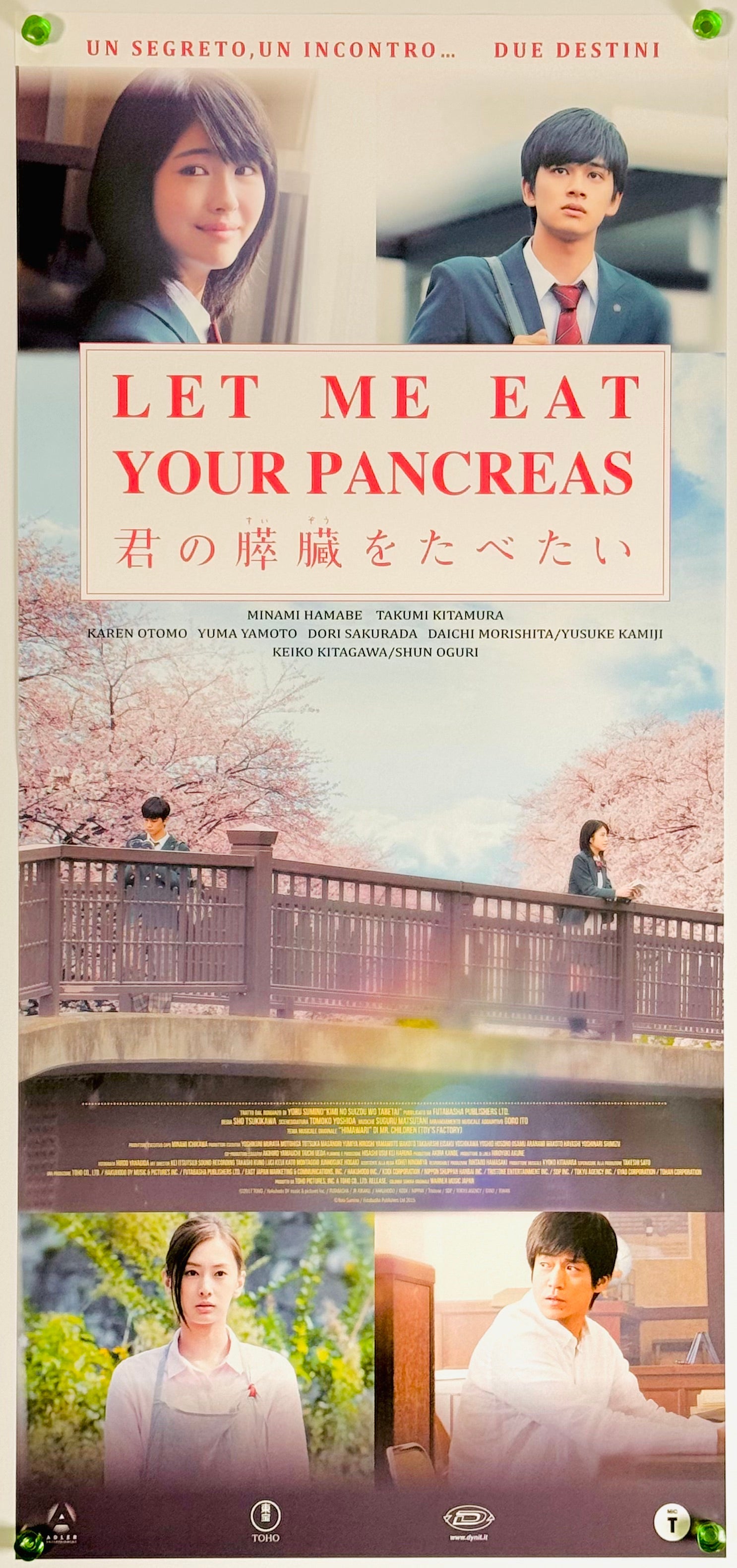 君の膵臓をたべたいB2ポスター 君の膵臓をたべたい』 邦画 イタリア - 海外版映画ポスター専門店