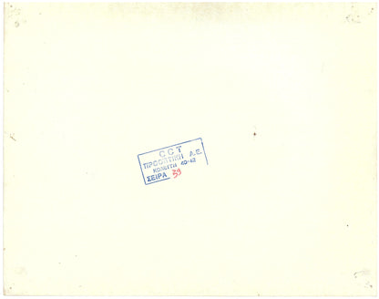 『ライオン・キング』 映画 ロビーカード アメリカ オリジナル [2418]