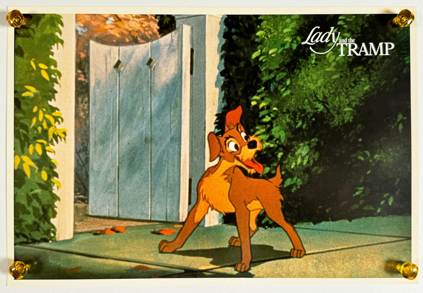 『わんわん物語』 映画 ロビーカード ギリシャ オリジナル [2485]