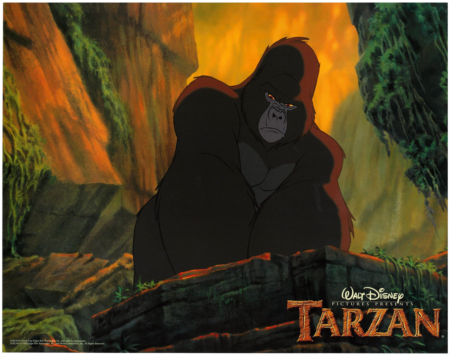 『ターザン』 映画 ロビーカード アメリカ オリジナル [2554]