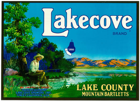 『Lakecove』 広告 ラベル アメリカ オリジナル [2729]