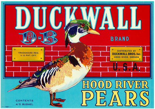 『DUCKWALL』 広告 ラベル アメリカ オリジナル [2736]