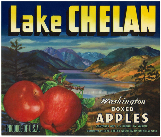 『Lake CHELAN』 広告 ラベル アメリカ オリジナル [2743]