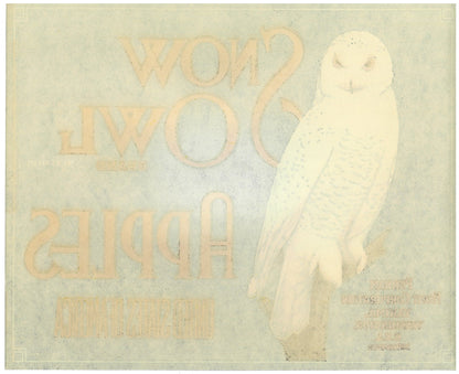 『SNOW OWL』 広告 ラベル アメリカ オリジナル [2770]