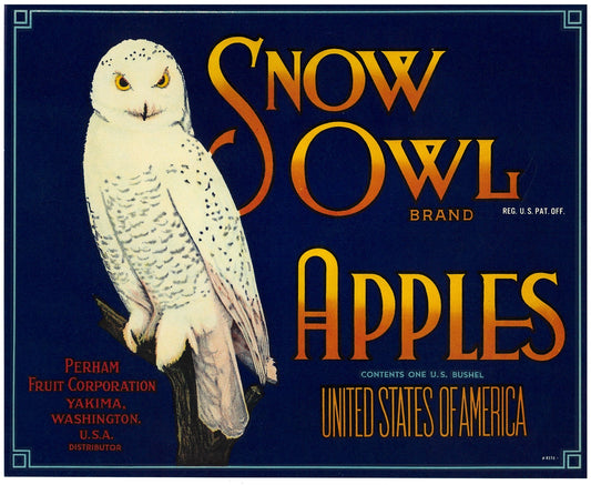 『SNOW OWL』 広告 ラベル アメリカ オリジナル [2770]