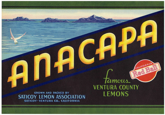 『ANACAPA』 広告 ラベル アメリカ オリジナル [2792]
