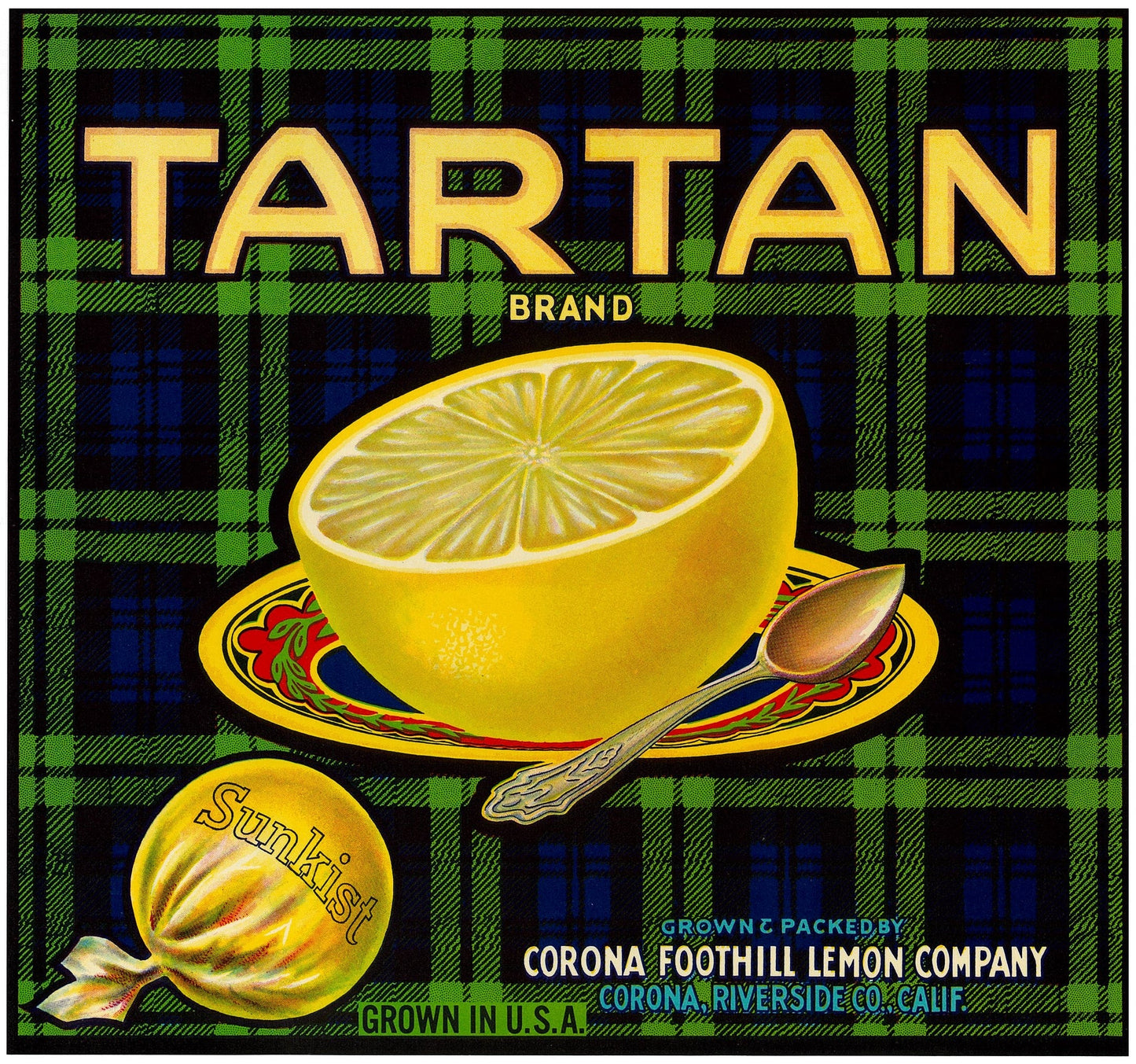 『TARTAN』 広告 ラベル アメリカ オリジナル [2800]
