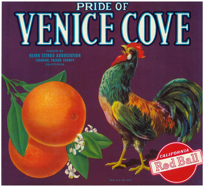 『PRIDE OF VENICE COVE』 広告 ラベル アメリカ オリジナル [2803]
