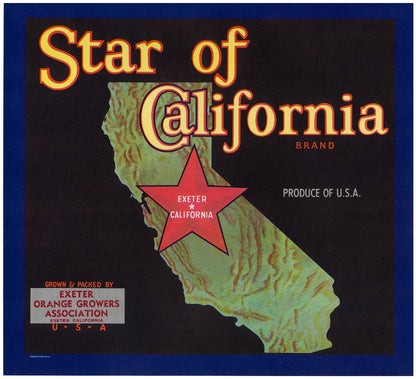 『Star of California』 広告 ラベル アメリカ オリジナル [2806]