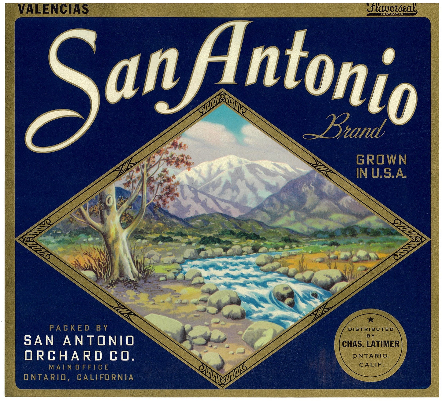 『San Antonio』 広告 ラベル アメリカ オリジナル [2809]