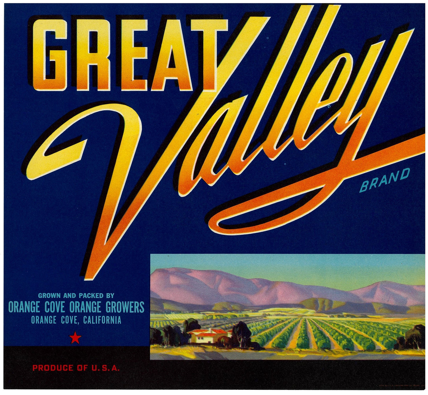 『GREAT Valley』 広告 ラベル アメリカ オリジナル [2816]