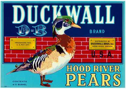 『DUCKWALL』 広告 ラベル アメリカ オリジナル [2821]