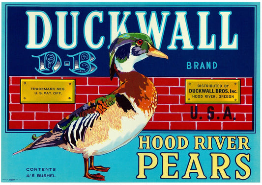 『DUCKWALL』 広告 ラベル アメリカ オリジナル [2821]