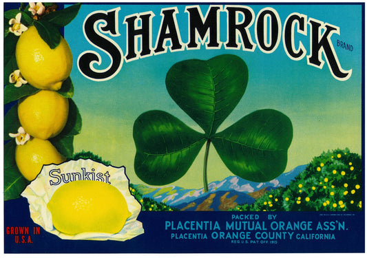 『SHAMROCK』 広告 ラベル アメリカ オリジナル [2825]
