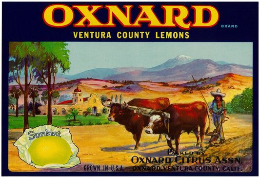 『OXNARD』 広告 ラベル アメリカ オリジナル [2851]