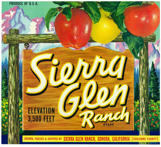 『Sierra Glen』 広告 ラベル アメリカ オリジナル [2900]