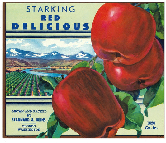 『STARKING RED DELICIOUS』 広告 ラベル アメリカ オリジナル [2903]