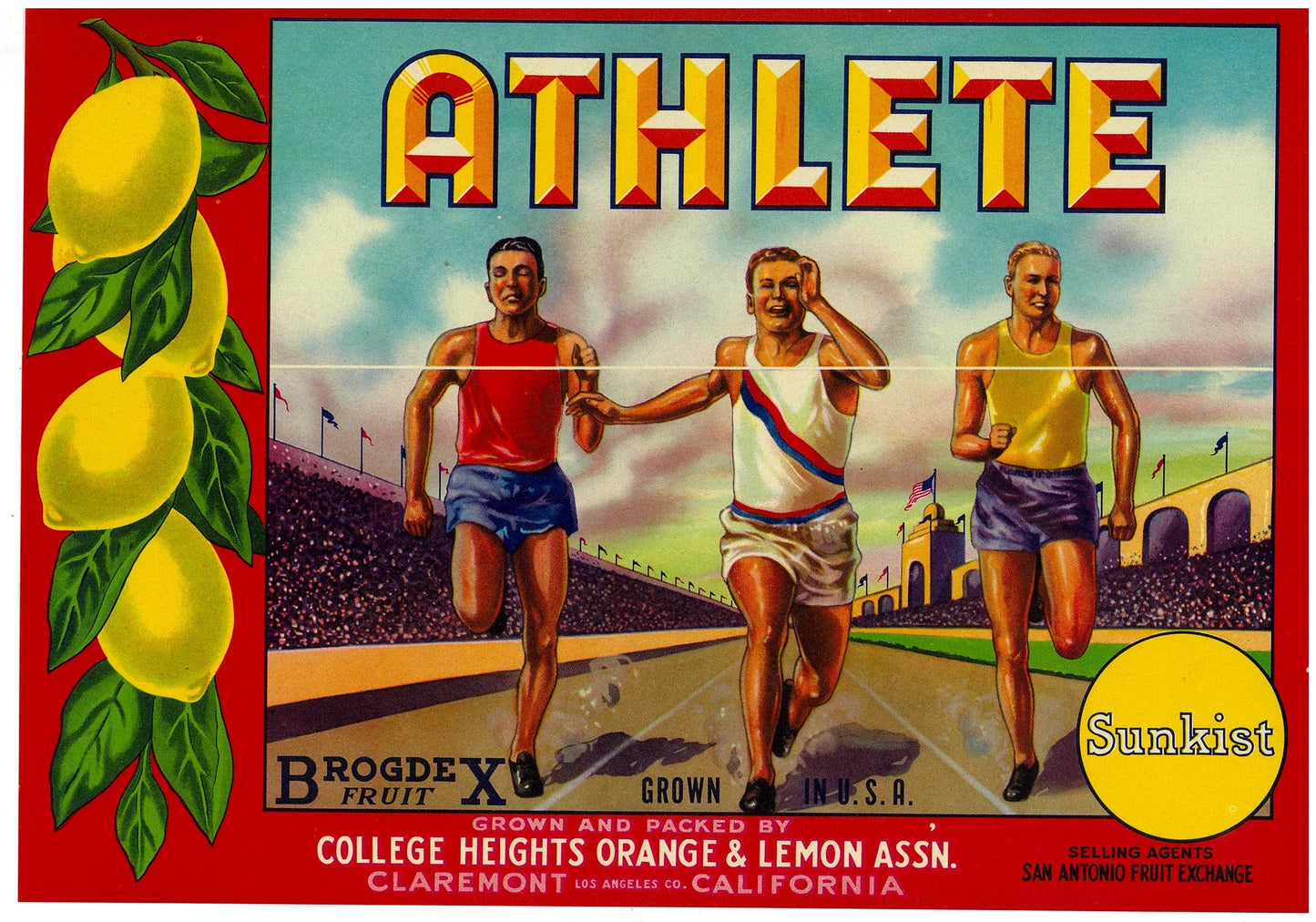 『ATHLETE』 広告 ラベル アメリカ オリジナル [2936]