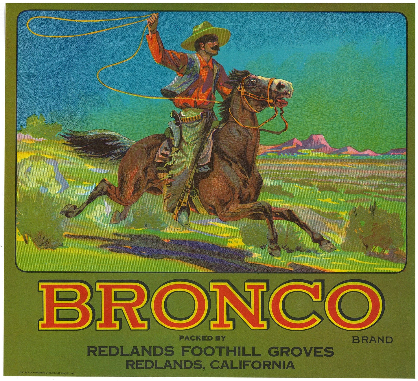 『BRONCO』 広告 ラベル アメリカ オリジナル [2937]
