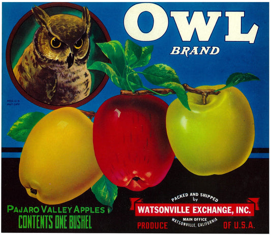 『OWL』 広告 ラベル アメリカ オリジナル [2944]