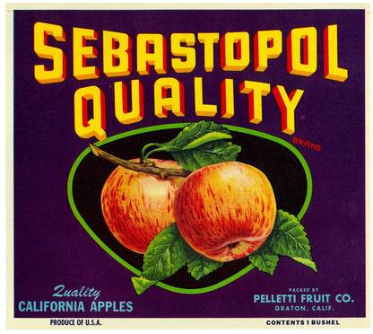 『SEBASTOPOL QUALITY』 広告 ラベル アメリカ オリジナル [2947]