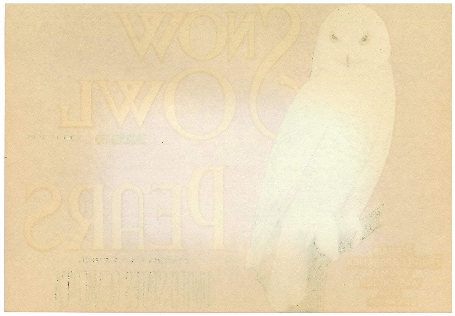『SNOW OWL』 広告 ラベル アメリカ オリジナル [2949]
