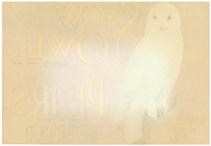 『SNOW OWL』 広告 ラベル アメリカ オリジナル [2949]