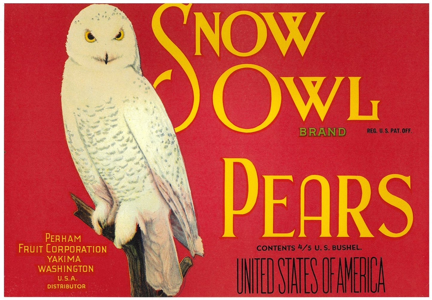 『SNOW OWL』 広告 ラベル アメリカ オリジナル [2949]