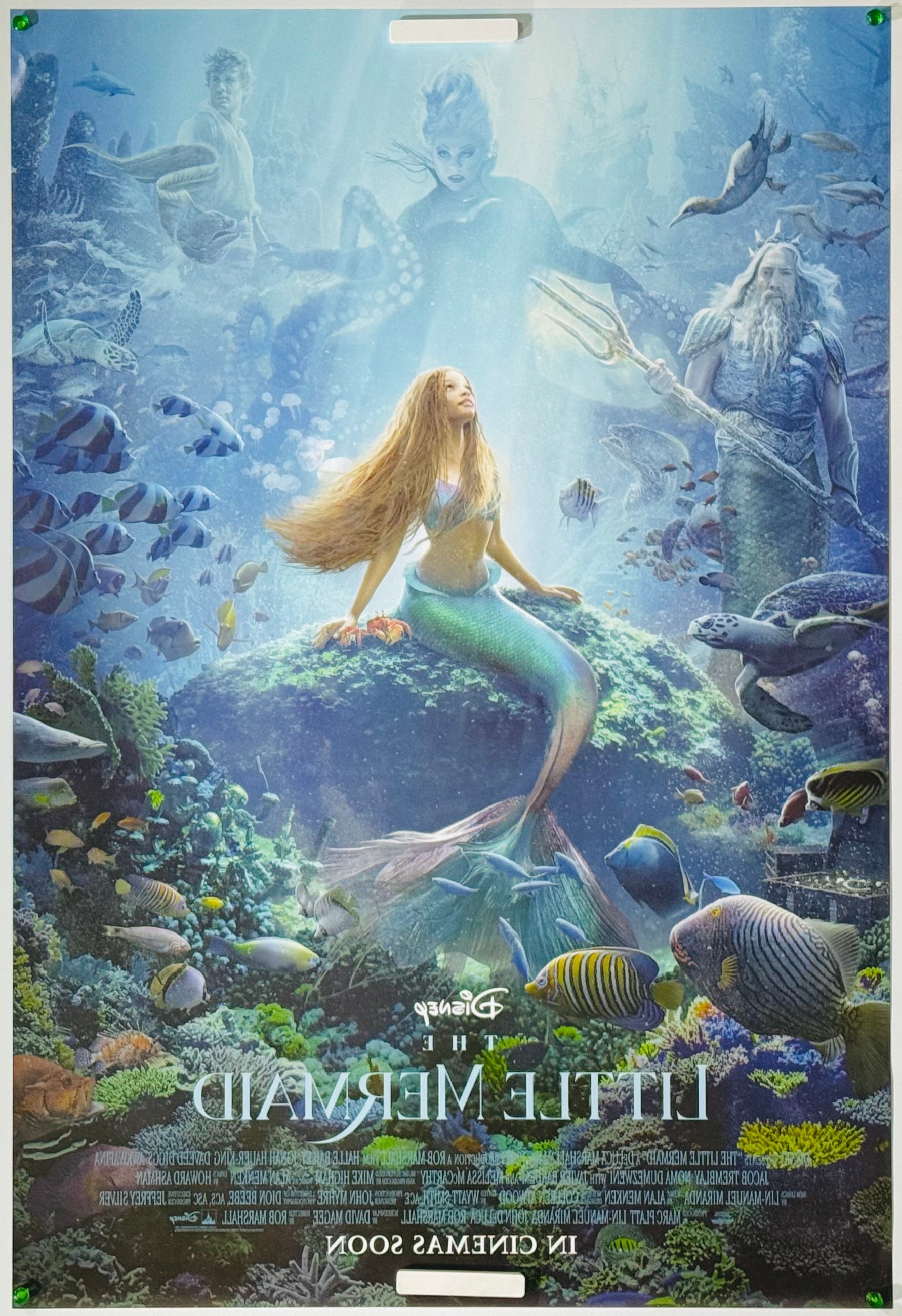 リトル・マーメイド』 洋画 アメリカ - 海外版映画ポスター専門店