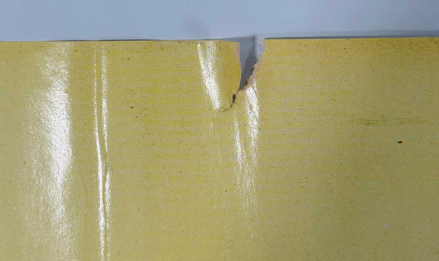 『ルーニー・テューンズ Silvestro contro Gonzales』 映画 ポスター イタリア オリジナル [3135]_2