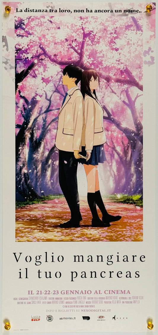 『君の膵臓をたべたい』 映画 ポスター イタリア オリジナル [314]