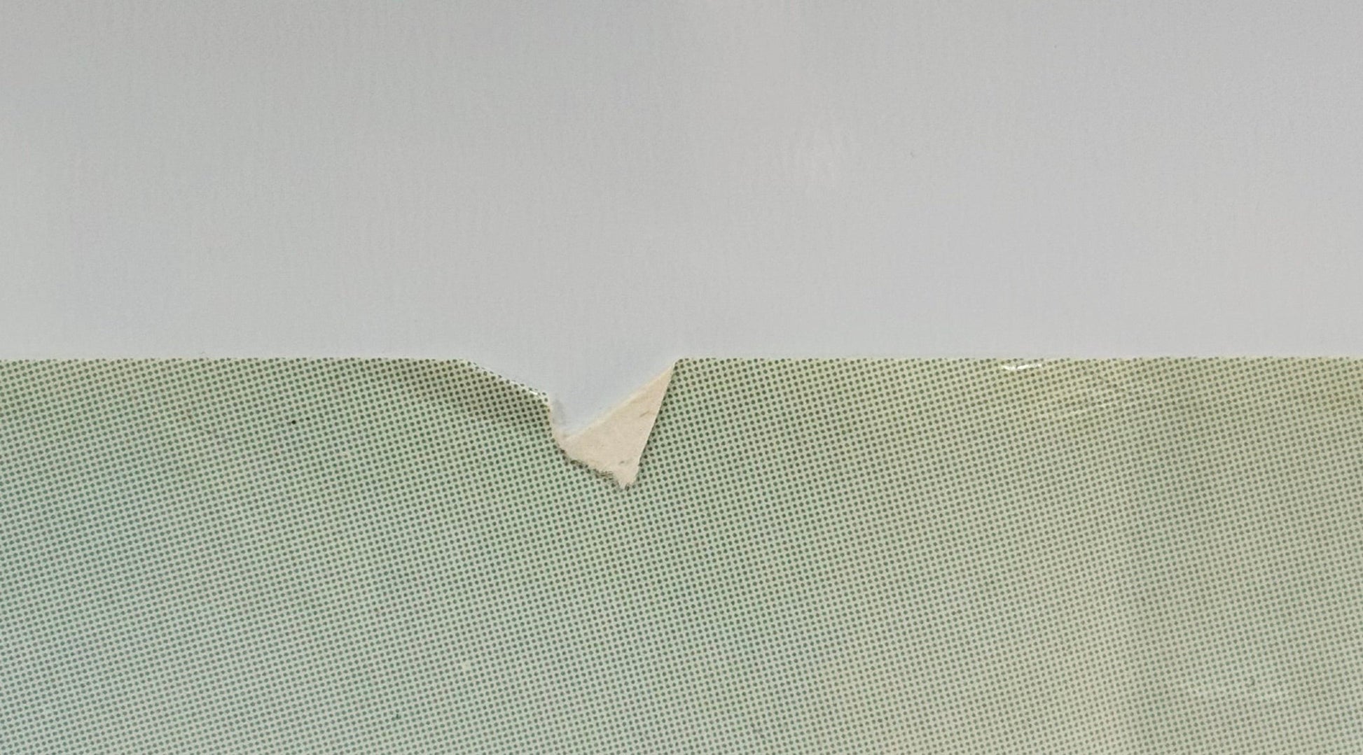 『ルーニー・テューンズ Silvestro e Gonzales in orbita!』 映画 ポスター イタリア オリジナル [3156]_2