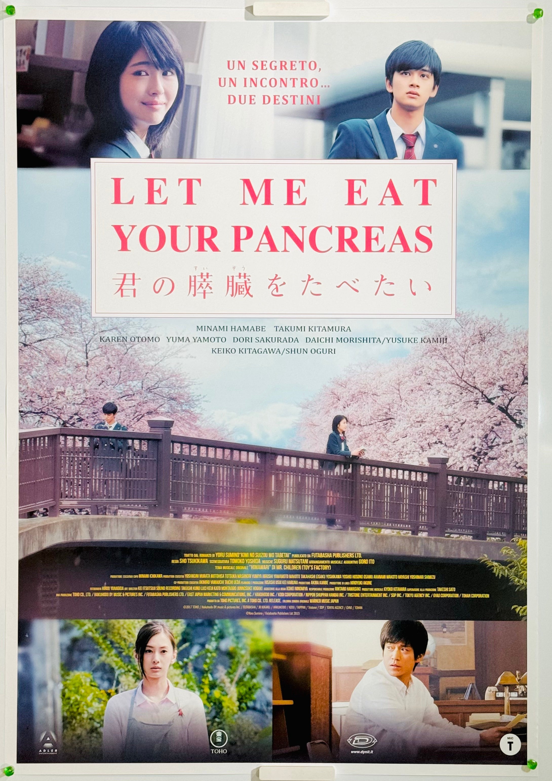 君の膵臓をたべたいB2ポスター 君の膵臓をたべたい』 邦画 イタリア - 海外版映画ポスター専門店