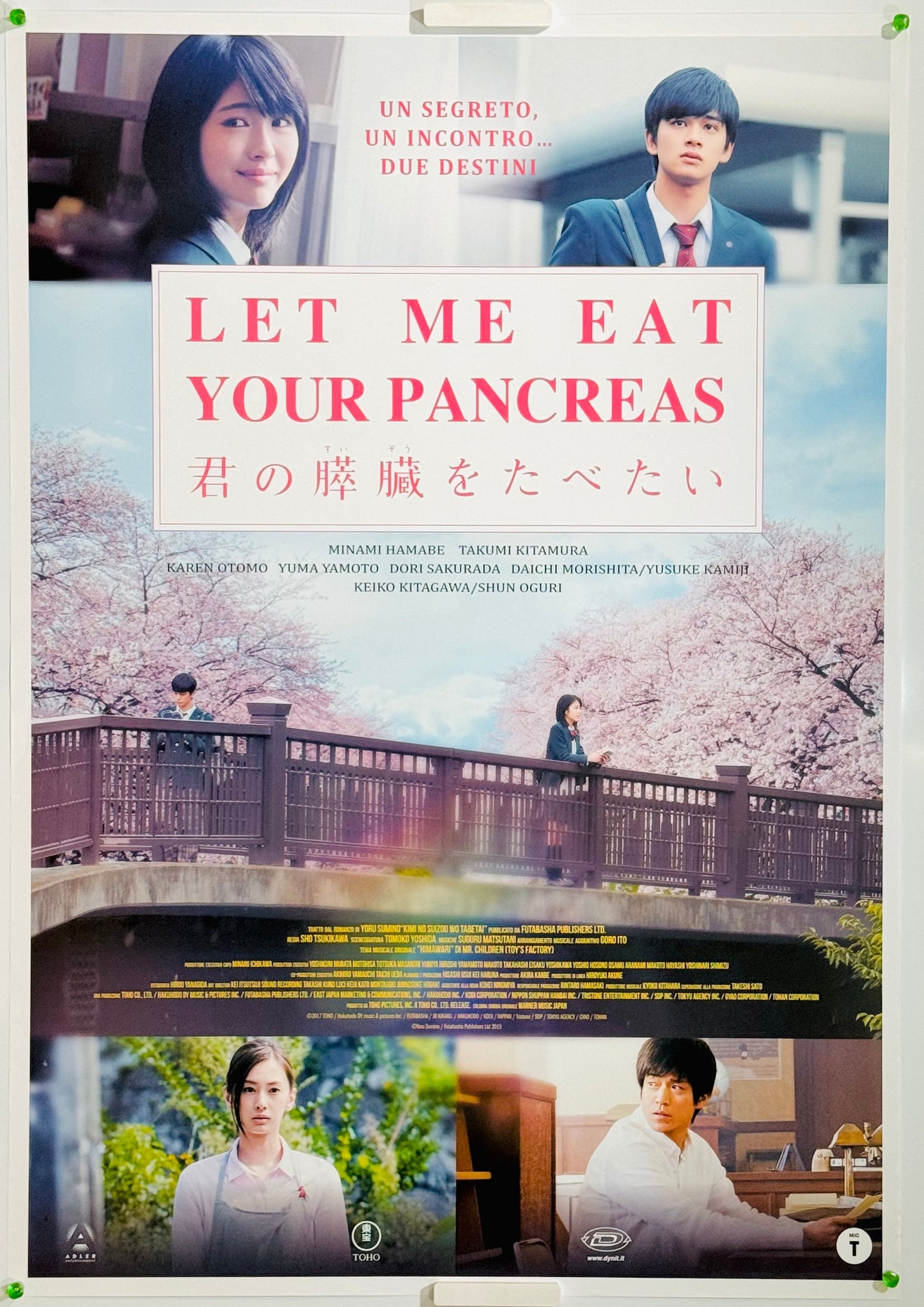 『君の膵臓をたべたい』 映画 ポスター イタリア オリジナル [3748]