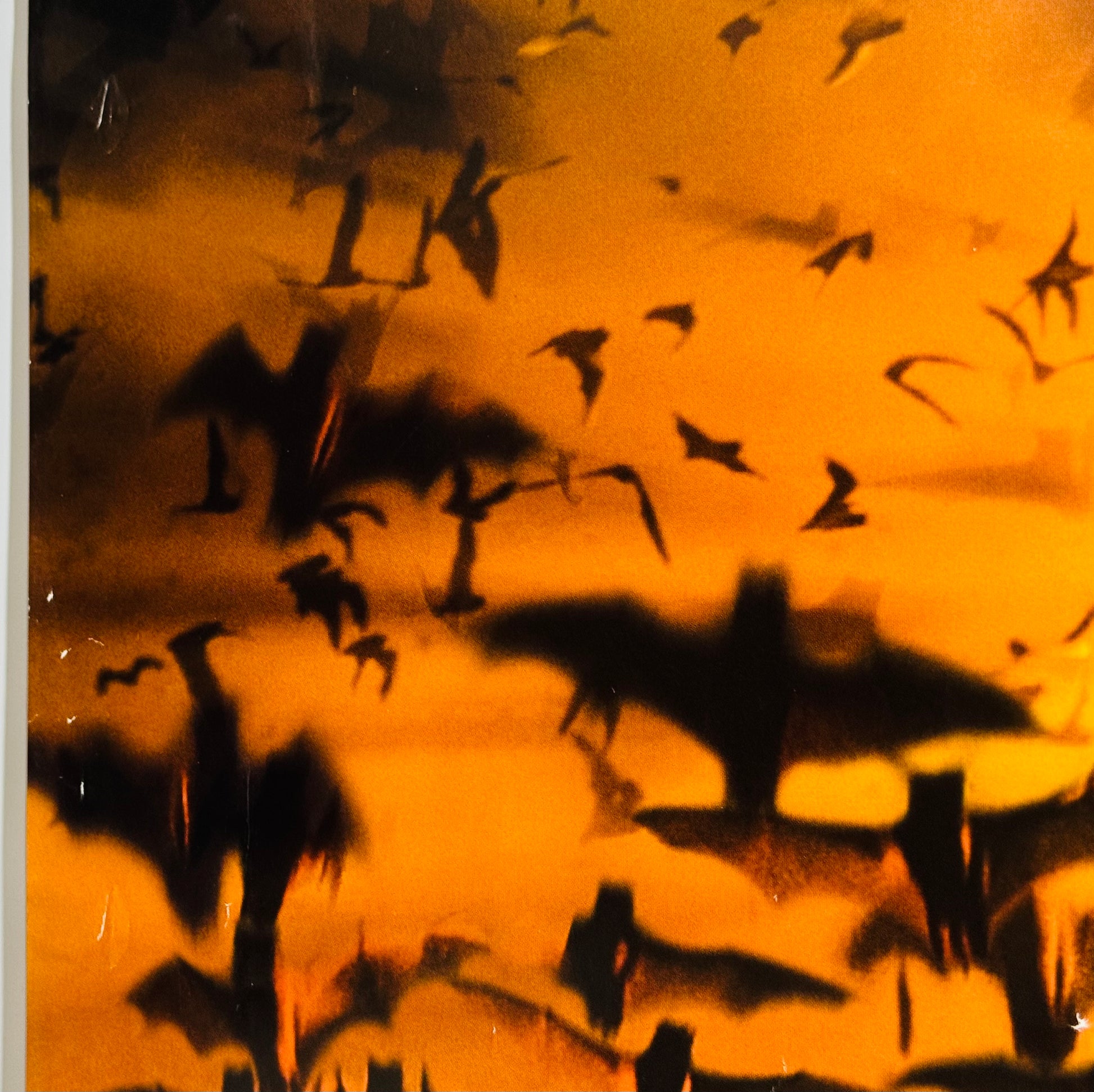 『バットマン ビギンズ』 映画 ポスター ドイツ オリジナル [4128]_4