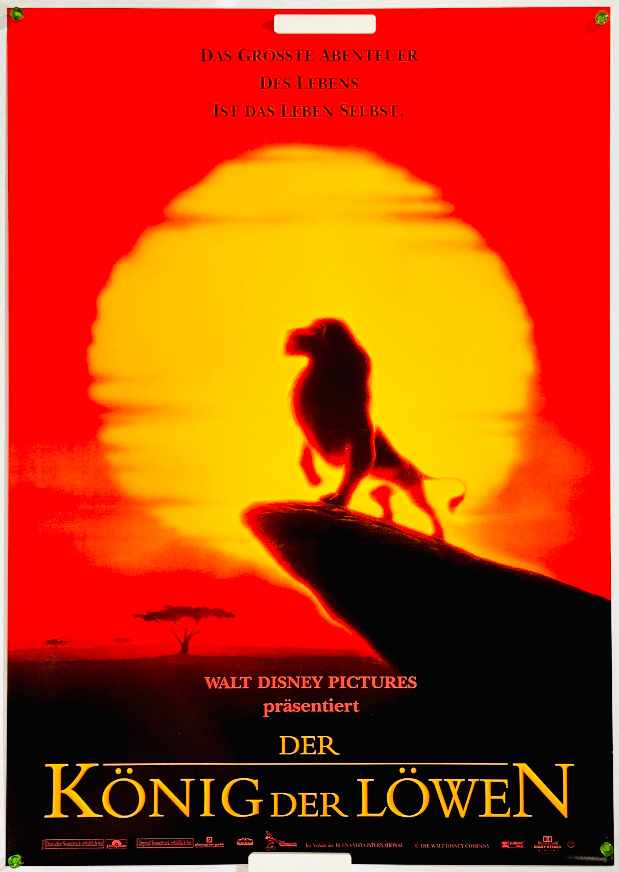 4313.jpg?v=1754654145&width=1920