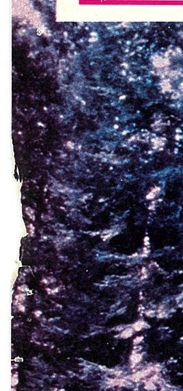 『スター・ウォーズ エピソード6 ジェダイの復讐』 映画 ロビーカード フランス オリジナル [4358]_3