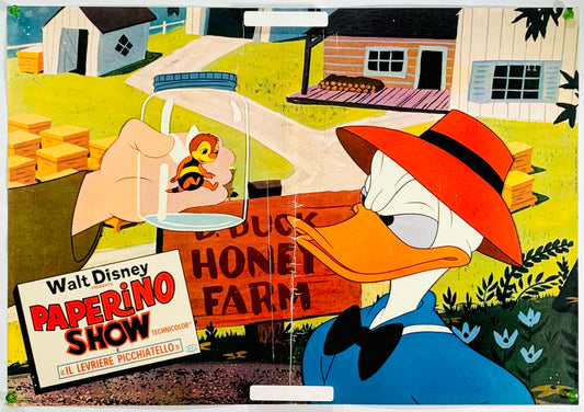 『ウォルト・ディズニー Walt Disney Donald Duck and his Companions』 映画 ポスター イタリア オリジナル [4764]