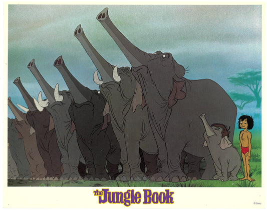 『ジャングル・ブック』 映画 ロビーカード アメリカ オリジナル [4786]