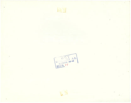 『ジャングル・ブック』 映画 ロビーカード アメリカ オリジナル [4787]_2