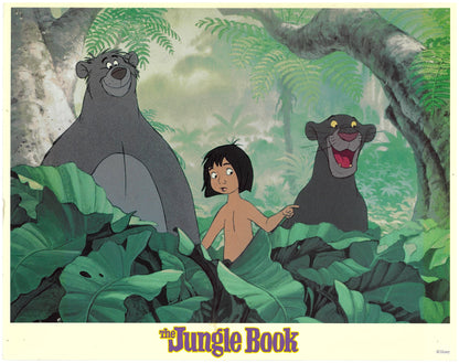 『ジャングル・ブック』 映画 ロビーカード アメリカ オリジナル [4792]_1
