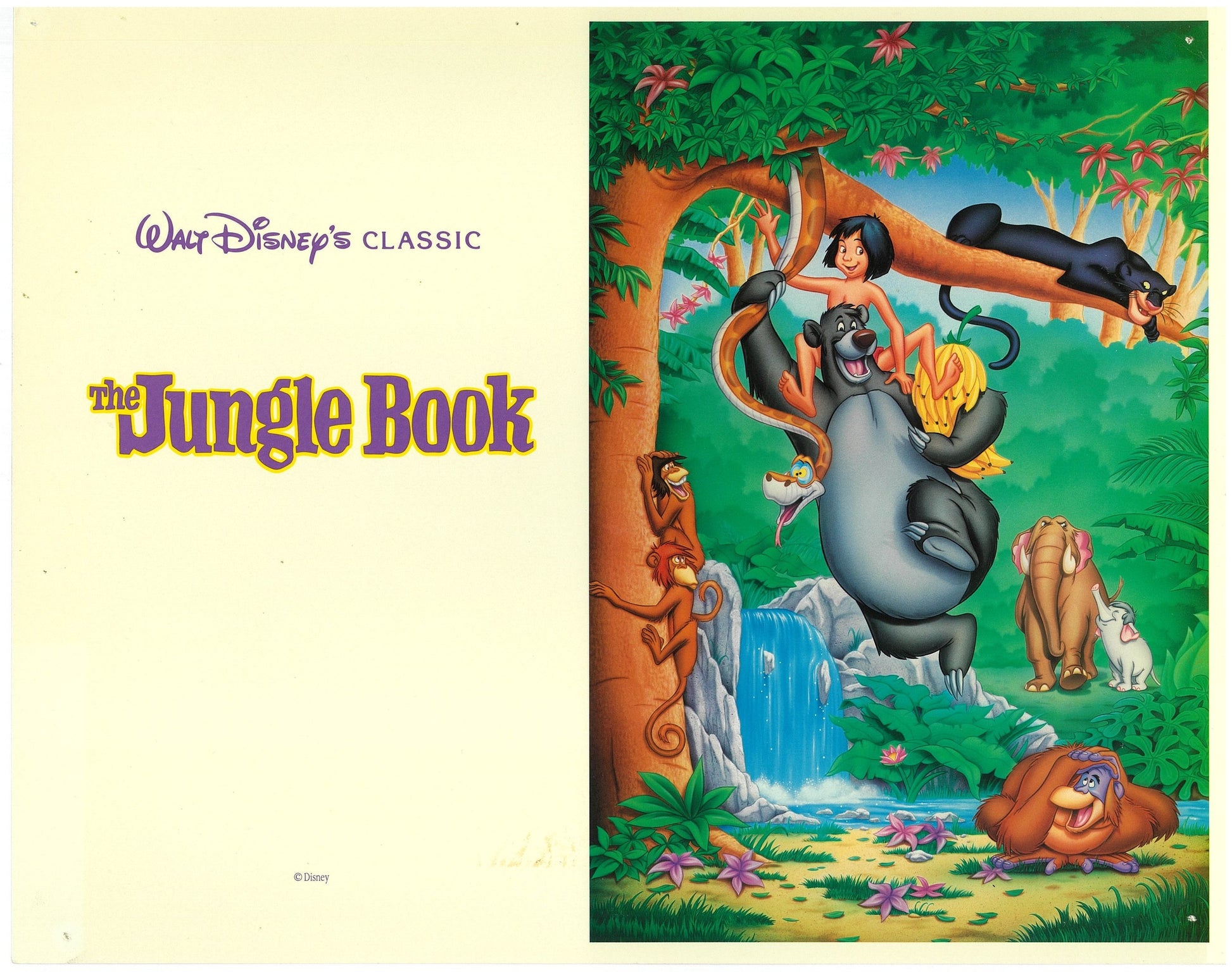 『ジャングル・ブック』 映画 ロビーカード アメリカ オリジナル [4793]_1