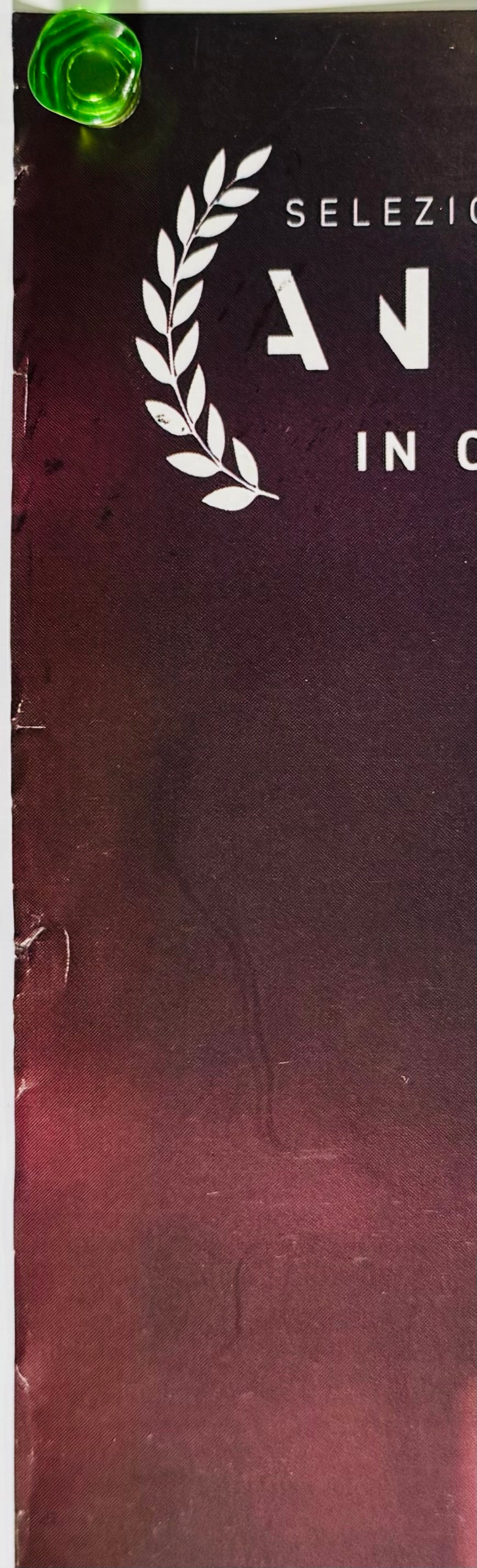 『きみの色』 映画 ポスター イタリア オリジナル [4875]_3