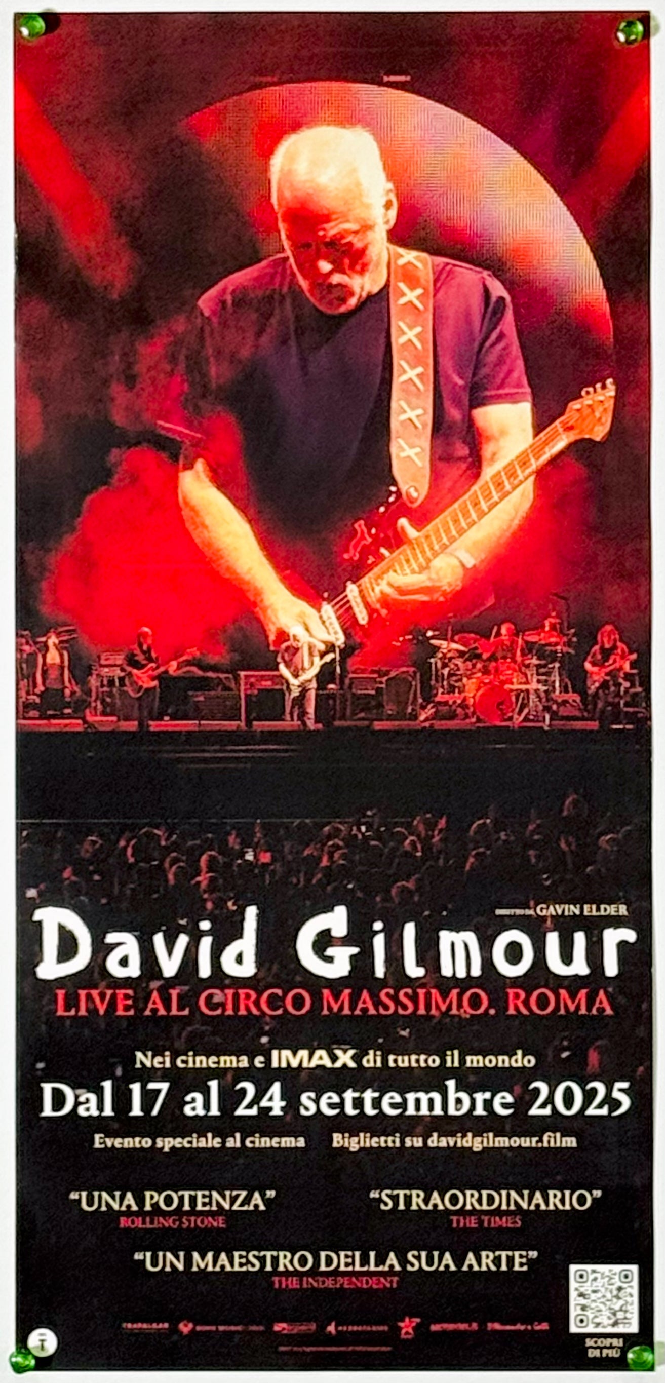 『David Gilmour Live at the Circus Maximus, Rome ピンク・フロイド』 映画 ポスター イタリア オリジナル [5329]