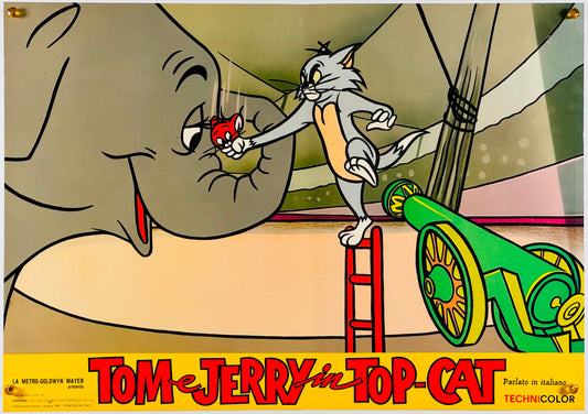 『トムとジェリー Tom e Jerry in Top Cat』 映画 ポスター イタリア オリジナル [874]