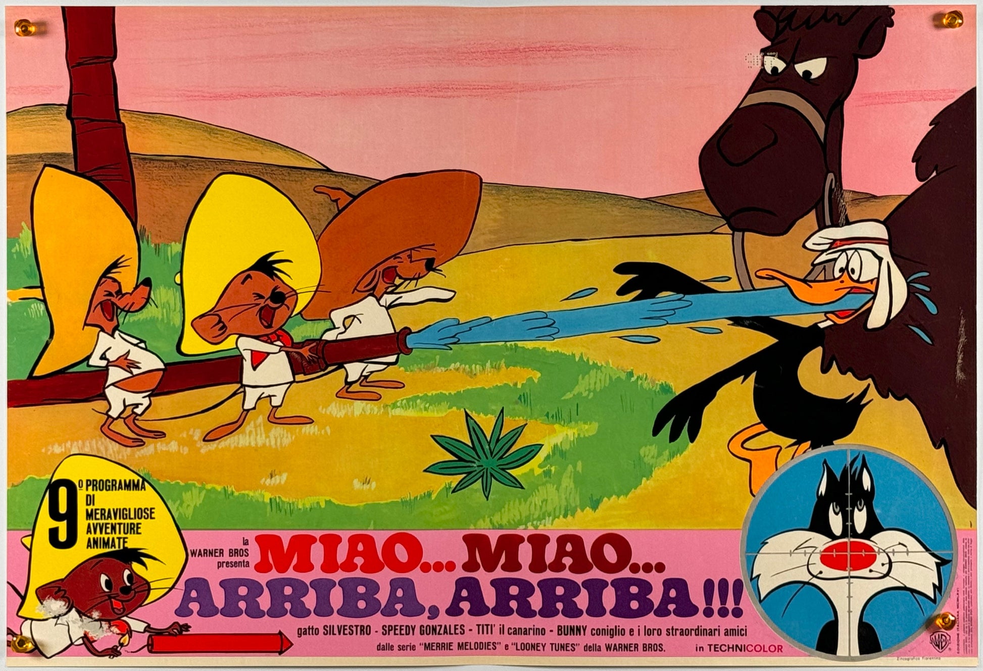 『ルーニー・テューンズ Miao miao arriba arriba!』 映画 ポスター イタリア オリジナル [929]